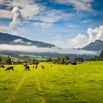 Matzhof Lejlighed Leogang