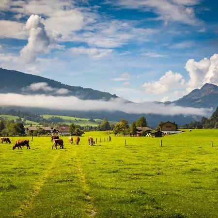 Matzhof Appartamento Leogang