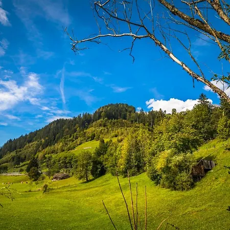 Matzhof Apartmán Leogang
